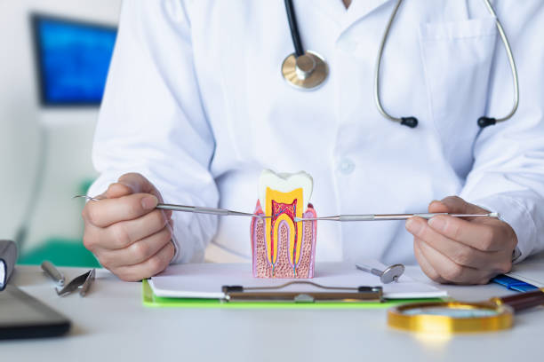 Best Emergency Treatment for Toothache in Somerville, TN